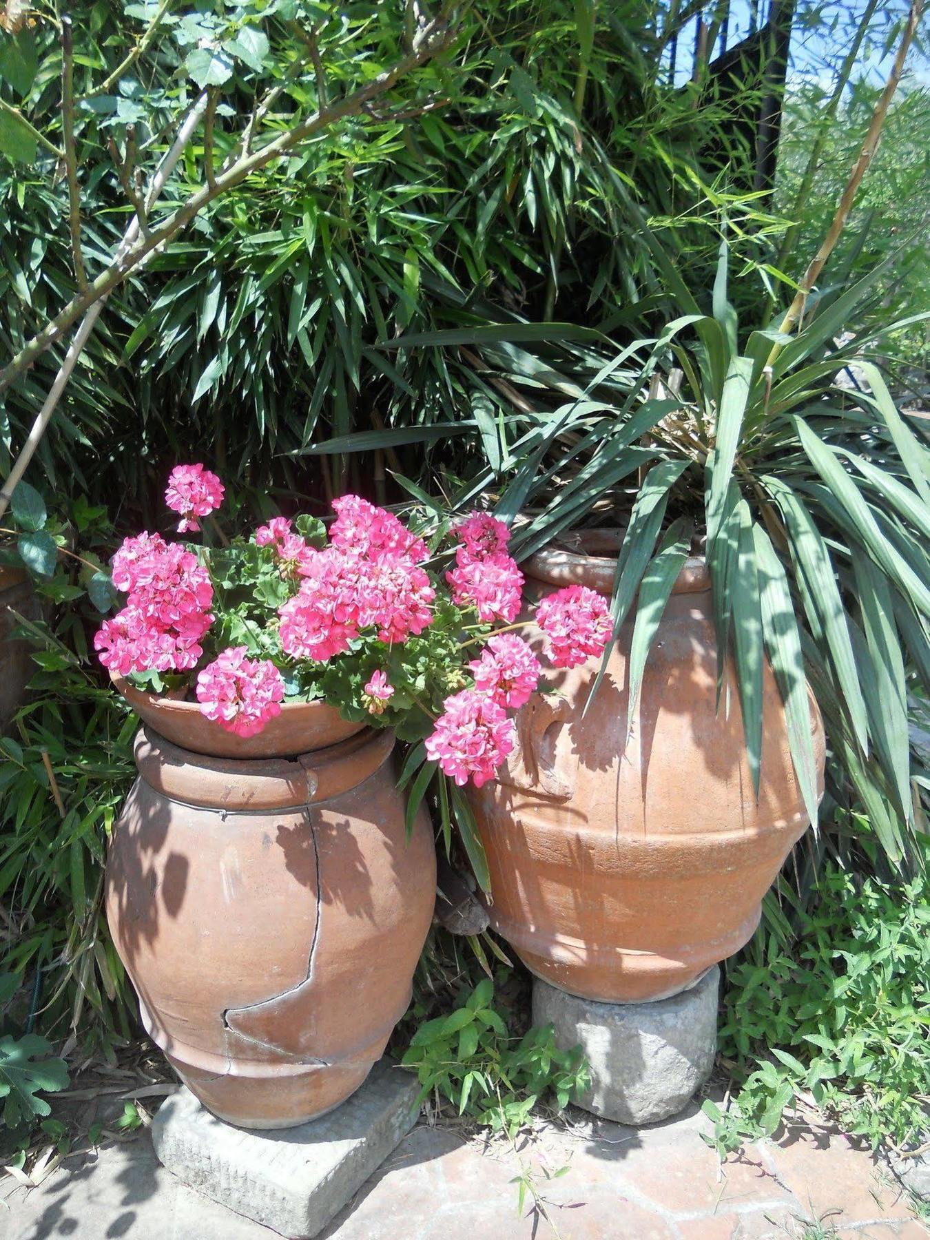 Agroturismo Le Macine *