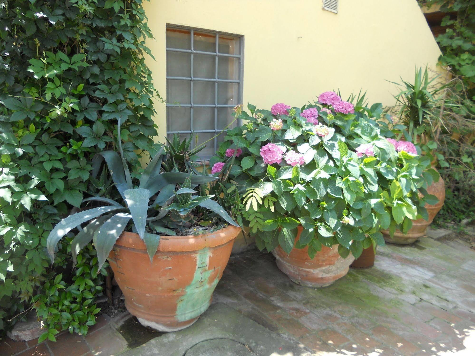 Agroturismo Le Macine Florencia